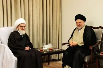 نماینده آیت الله سیستانی با آیت الله نوری همدانی دیدار کرد