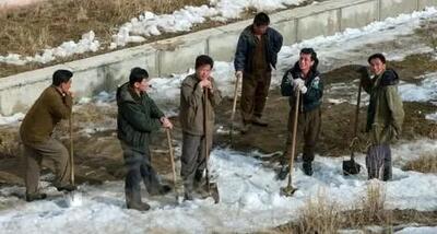 خوراک سربازان کره‌شمالی در جنگ روسیه و اوکراین