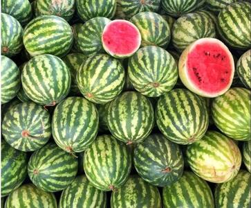 ۴ روش علمی برای تشخیص هندوانه آبدار، شیرین و رسیده