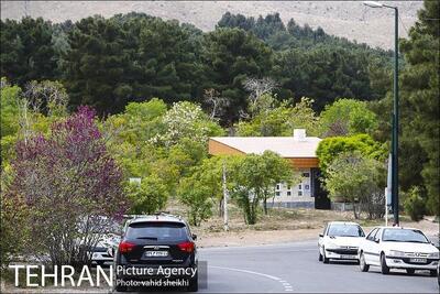 نصب دوربین‌های پلاک خوان در ورودی‌ بوستان جنگلی