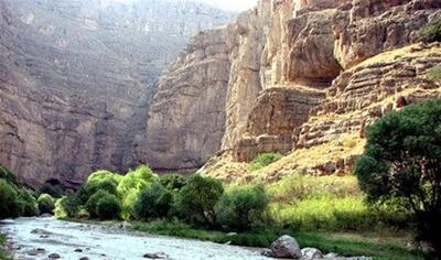 پارک ملی تندوره مشهد / جاذبه‌ طبیعی و حیات وحش