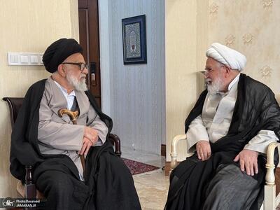 تصاویری از مهمان جدید کروبی بعد از رفع حصر |  انصاف نیوز