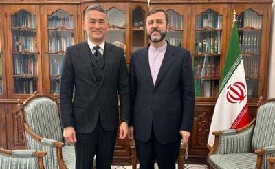 معاون عراقچی: در دیدار با سفیر ژاپن، درباره آخرین تحولات پیرامون موضوع هسته‌ای و رفع تحریم‌ها گفت‌وگو کردیم