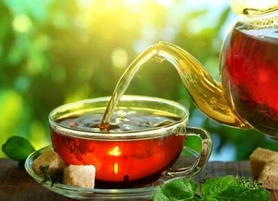تصفیه طبیعی آب با دم کردن چای