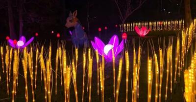 اجرای پارک نوری در بوستان نیاوران