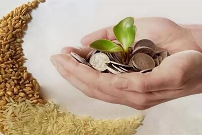 آمادگی کمیته امداد خوزستان برای جمع‌آوری فطریه/ امکان پرداخت فطریه در نانوایی‌ها