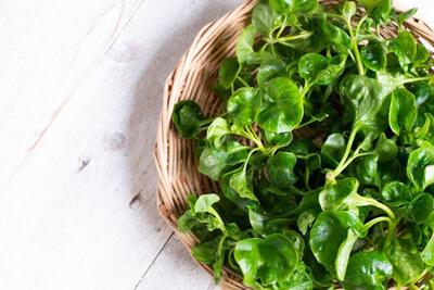 خواص شگفت انگیز آب تره برای بدن (شاهی آبی)