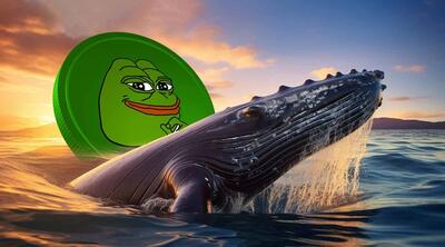 انباشت بزرگ نهنگ PEPE در بازار نوسانی؛ آماده افزایش قیمت باشیم؟