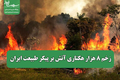 زخم ۸ هزار هکتاری آتش بر پیکر طبیعت ایران