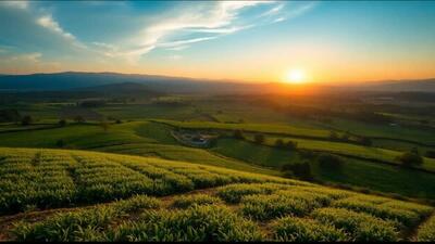 صدور ۶۵۳ سند مالکیت برای اراضی کشاورزی رامسر