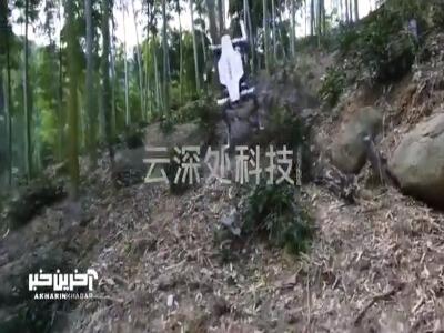 ربات چرخدار و چهارپا جدید شرکت DEEP Robotics چین