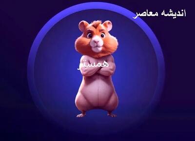 کارت همستر در 9 فرورردین | دیلی کمبو همستر چیست