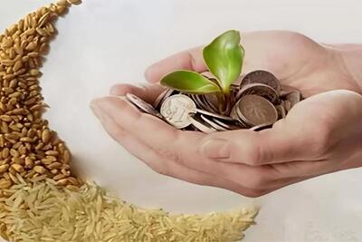 آیا پرداخت فطریه مهمان بر عهده میزبان است؟