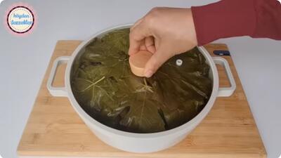 طرز تهیه دلمه برگ مو / طریقه صحیح پیچیدن دلمه + چیدن اصولی دلمه در قابلمه