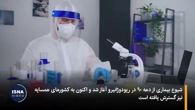 ببینید| هشدار گرفتن بیماری قارچی در تماس گرفتن با گربه‌ها