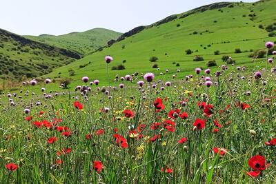 سفر به دل طبیعت؛ نوروزگردی در خنداب