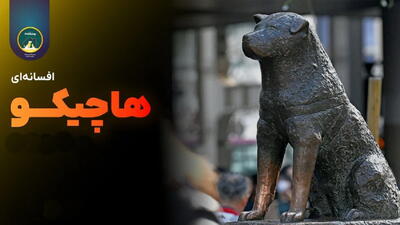 داستان هاچیگو سگ وفادار ژاپنی | داستان واقعی از وفاداری سگی که صاحبش را از دست داده بود