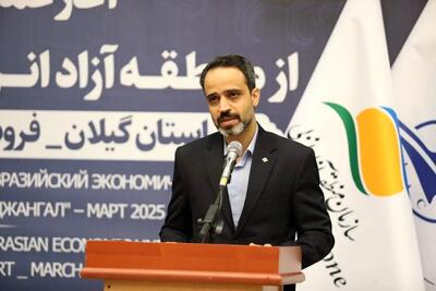 آغاز کارگو گام مهمی در مسیر توسعه تجارت هوایی و مدیریت زنجیره صادرات ایران است