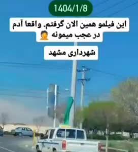 روش‌ غیراخلاقی شهرداری مشهد در جمع آوری سگ‌های ولگرد!