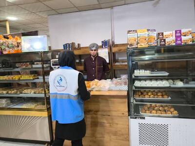 ۱۵ اکیپ در طرح سلامت نوروزی سال جدید در بوشهر فعالیت دارند