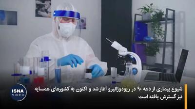 مراقب انتقال این بیماری توسط گربه ها باشید + فیلم