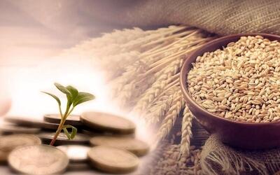 زکات فطره میهمان به عهده میزبان است؟ - سبک ایده آل
