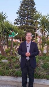 این خودروها در سال ۱۴۰۴ مشمول مالیات شدند