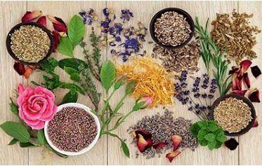این گیاهان مسکن های طبیعی هستند