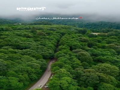 جاده جنگلی و زیبا
