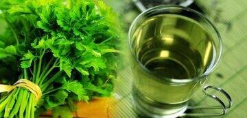 تقویت قوای جنسی با مصرف این نوع سبزی | اقتصاد24