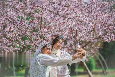 (تصاویر) بهار طبیعت در تهران