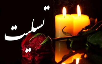 الهام فلاحی به سوگ نشست