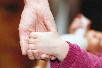 تحقق یک رویا؛ همای سعادت در آغوش سیمرغ