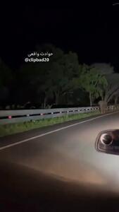 فیلم شوخی ترسناک بچه فیل با خودروی عبوری