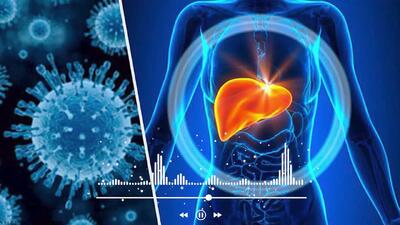 هپاتیت چیست و چگونه منتقل می شود؟ + فیلم