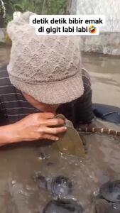 فیلم لاک‌پشت لب زن شکارچی صدف را گاز گرفت