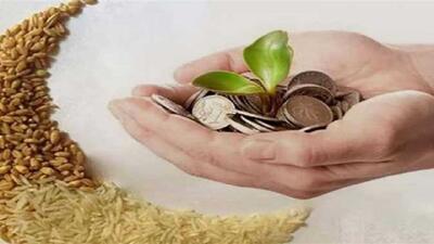 فعالیت بیش از ۳۰۰ پایگاه برای جمع آوری زکات فطریه در گلستان