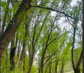 روستای شهرستانک در نزدیکی تهران - آینه فردا