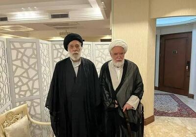 دیدار سیدهادی خامنه‌ای با مهدی کروبی