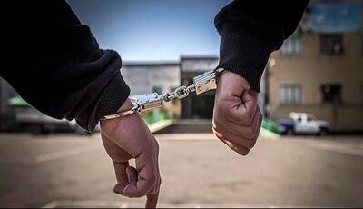 دستگیری لیدرها و عوامل اصلی هنجارشکنی در اماکن تاریخی