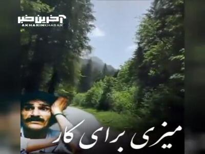 این بود زندگی؟