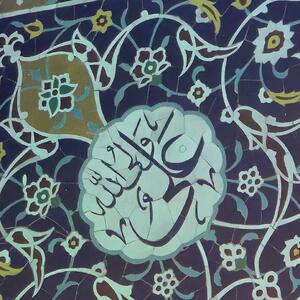 حکمت/ طمع مایه هلاکت