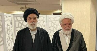 دیدار سیدهادی خامنه‌ای با شیخ مهدی کروبی (+عکس)
