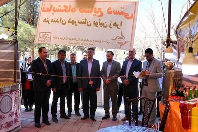 افتتاح نوروزگاه ۱۴۰۴ بوئین ‌زهرا با رویکرد معرفی صنایع دستی شهرستان