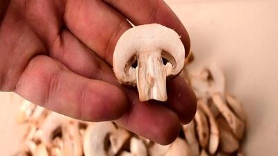 فواید قارچ برای آقایان