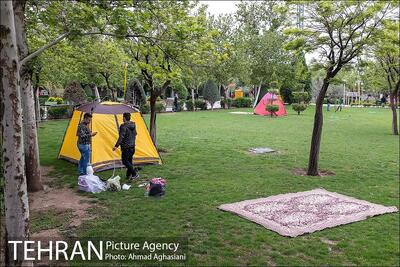 شهروندان سیزده بدر درخت بکارند| نظارت گشت های محیط زیست شهرداری در روز طبیعت