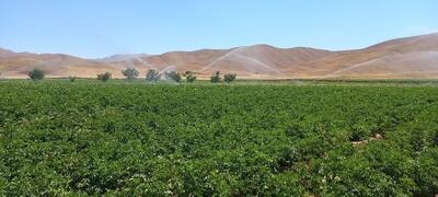 تجهیز بیش از ۷۲ هزار هکتار از اراضی چهارمحال و بختیاری به سامانه‌های نوین آبیاری