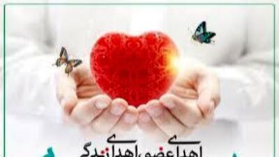 نجات 3 زندگی با تصمیم بزرگ نوجوان مشهدی؛ اهدای عضو