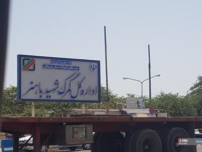 ترخیص پنج‌هزار خودروی خارجی دپو شده در بنادر و گمرکات هرمزگان