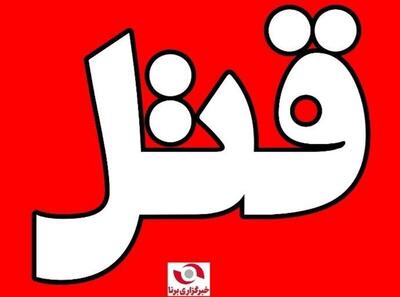 دستگیری چهار متهم دخیل در قتل اواخر مهرماه یک پسر جوان